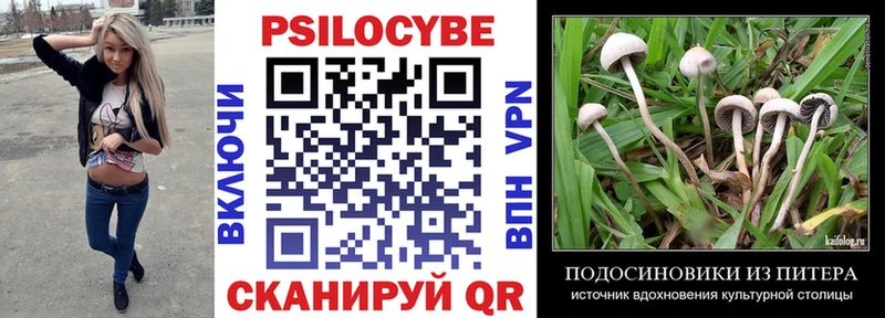 где найти наркотики  мориарти клад  Галлюциногенные грибы Magic Shrooms  Красный Холм 